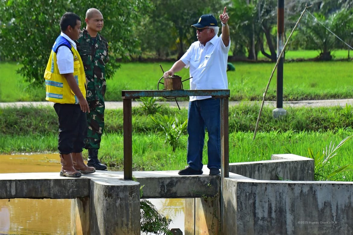 Kepala Otorita IKN Tinjau Daerah Irigasi Rawa Sebakung untuk Dukung Swasembada Pangan Nasional