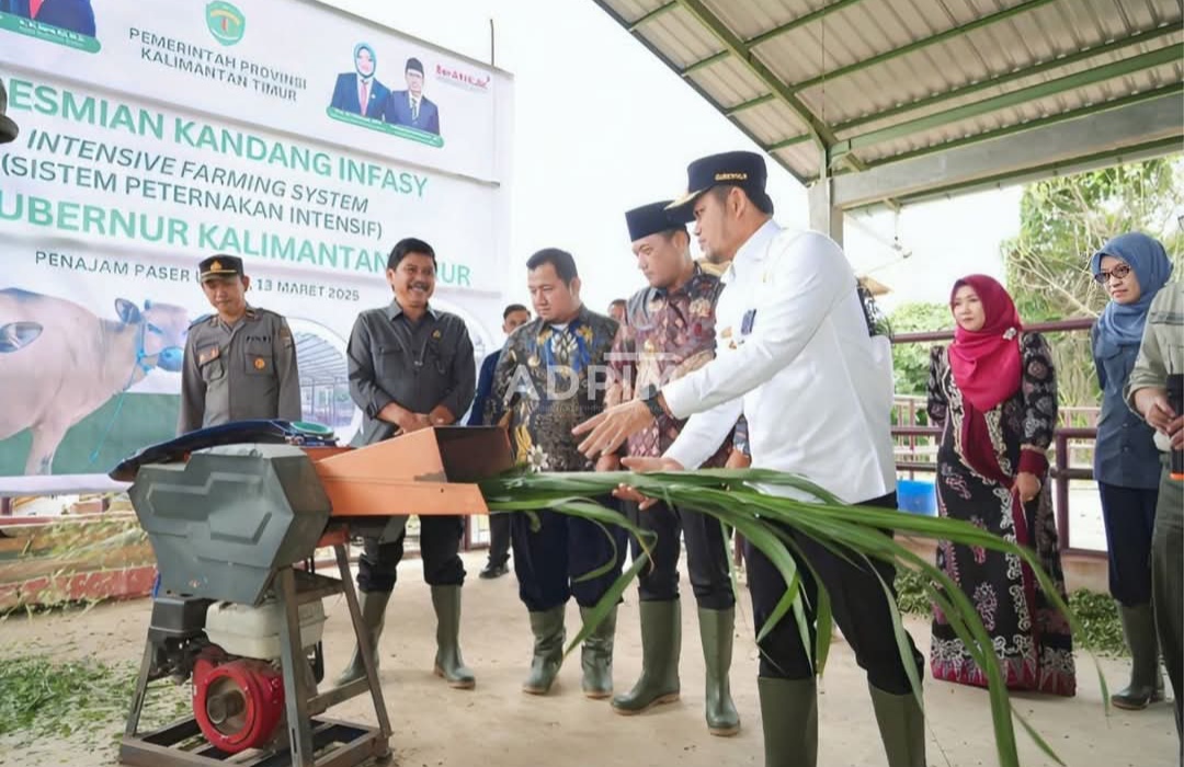 Gubernur dan Wakil Gubernur Kaltim Resmikan Kandang Infasy di Waru PPU